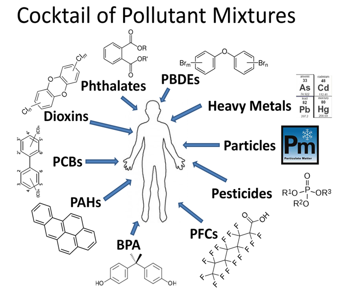 Cocktail of Pollutant Mixtures Inforgraphic